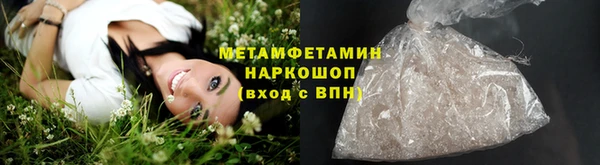 сатива Балахна