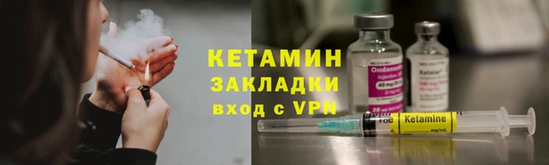 сатива Балахна