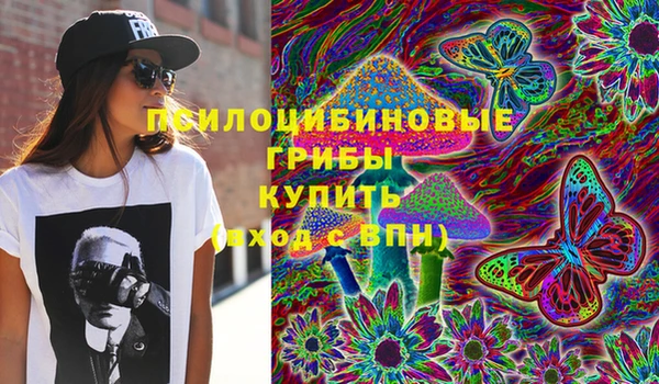 сатива Балахна